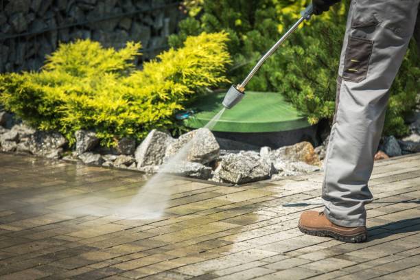 Best Animal Enclosure Cleaning  in Angola, NY